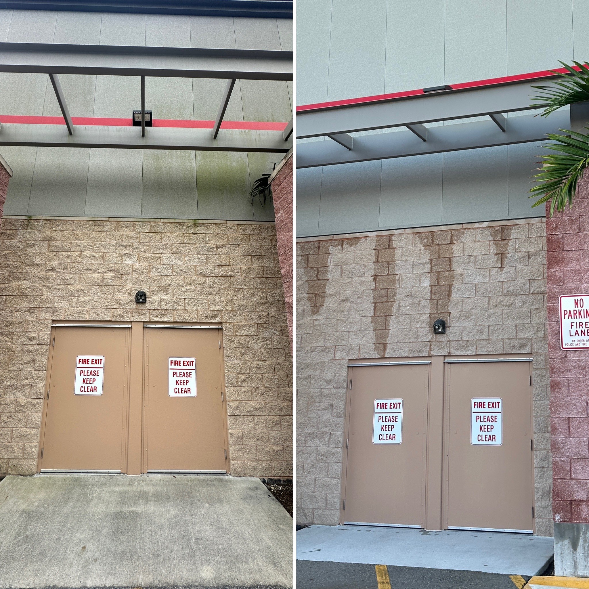 Algae removal Before/After