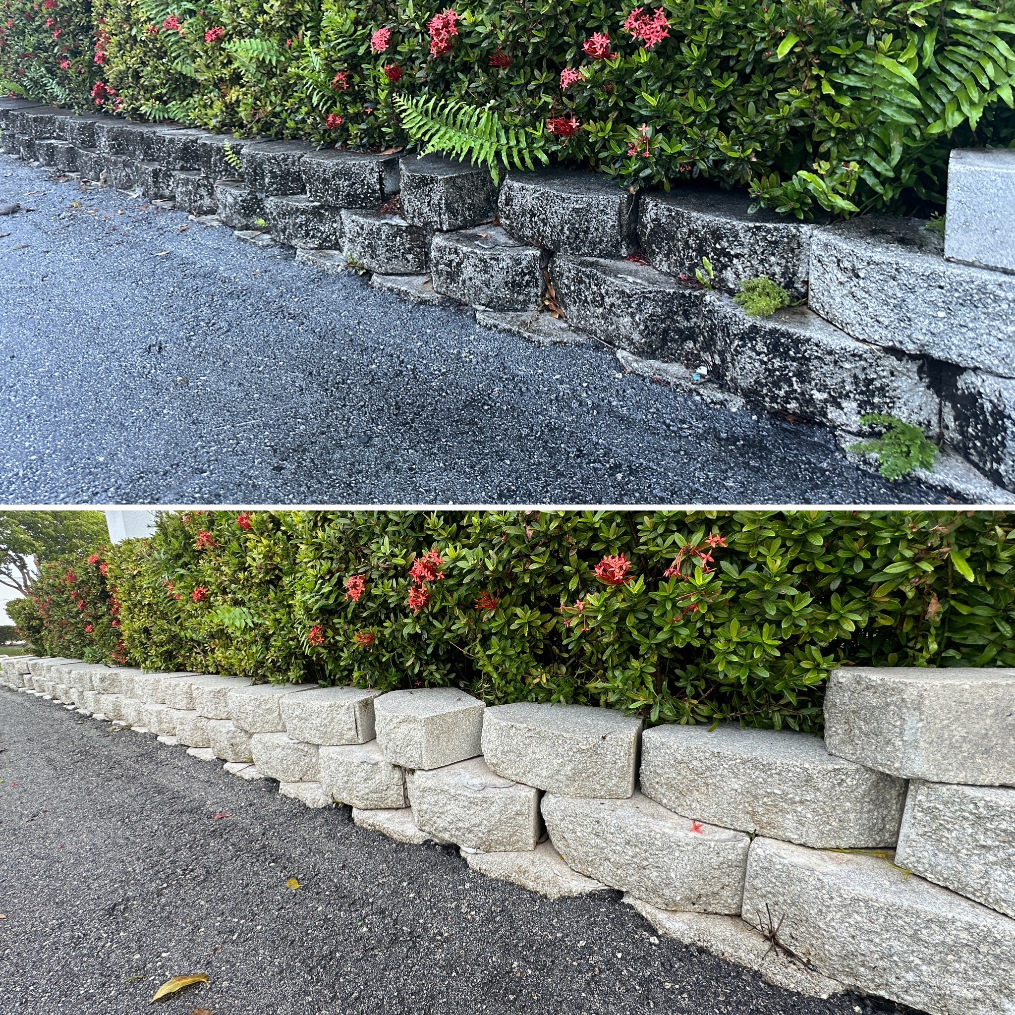 Mildew removal Before/After