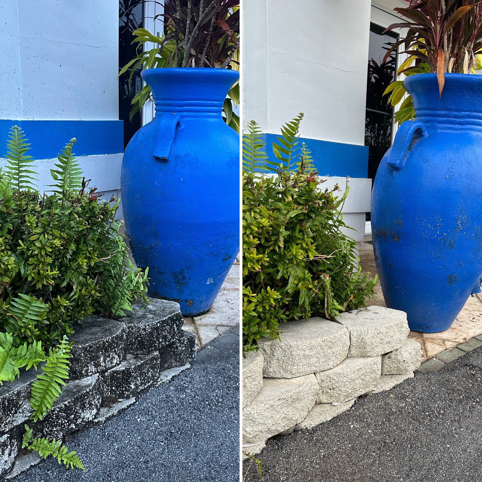 Mildew removal Before/After